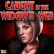 Caught in the Widow's WebHighfive